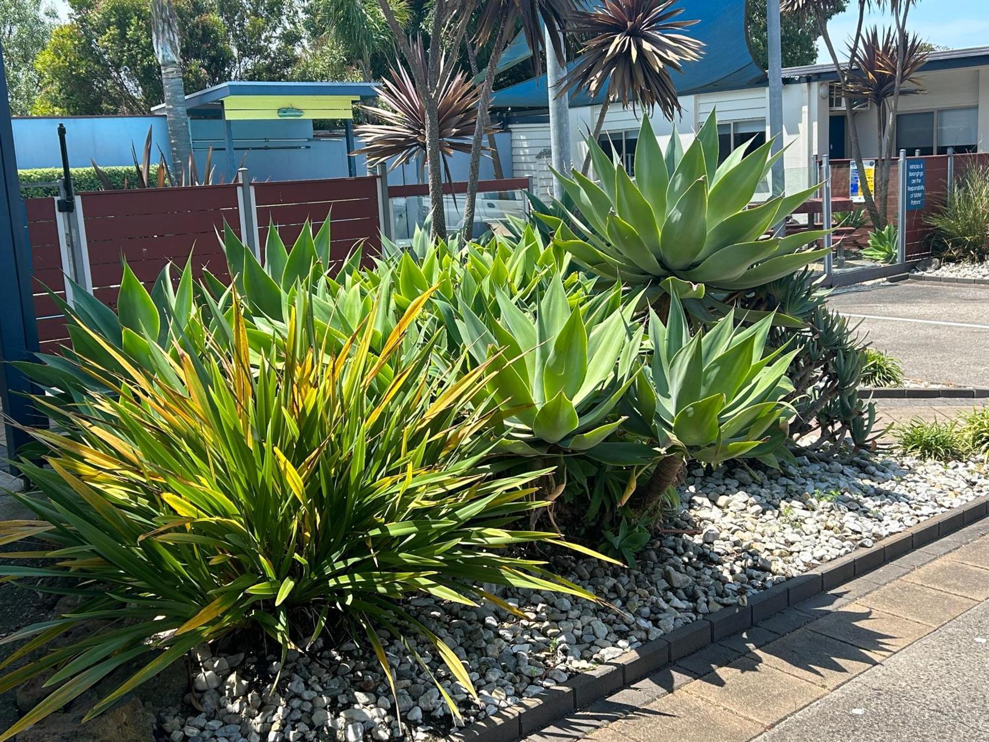 Portarlington Beach Motel Luaran gambar